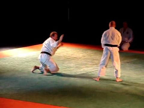 Shorinji Kempo à la soirée arts martiaux de Jouy le Moutier en 2007