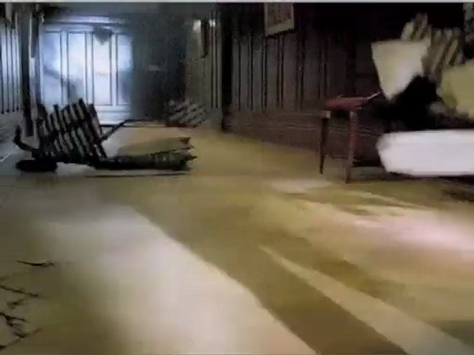 Two cats