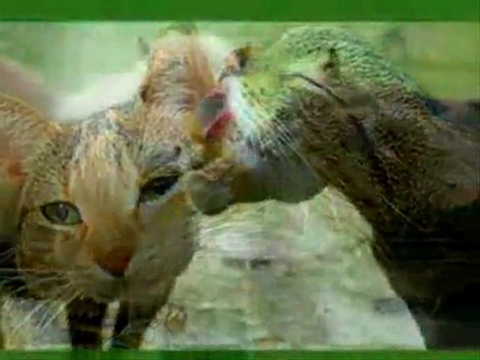 AŞK İKİ KİŞİLİKTİR - ATAOL BEHRAMOĞLU