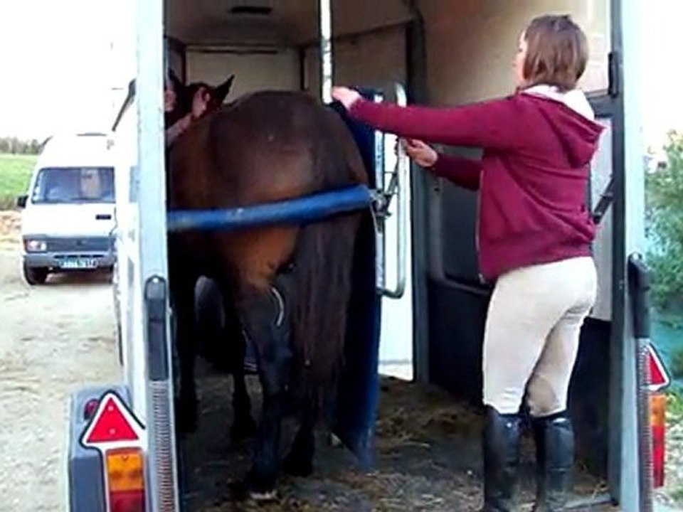 TANGO monte dans le van le 1er avril 2011