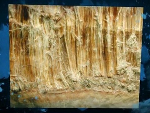 Asbestos Testing Middletown