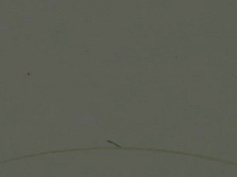 Idées de menu de Pâques et recettes pour le repas de fête