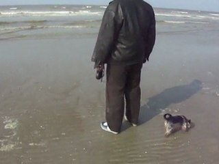 Plage de La Panne en Belgique