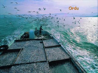 GENEL RESİMLER 2011 MART-2-İRFAN VURAL