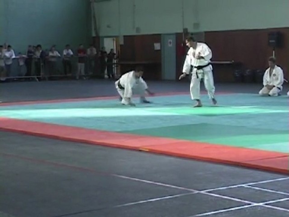 Shorinji Kempo à la soirée arts martiaux de Jouy le Moutier en 2005