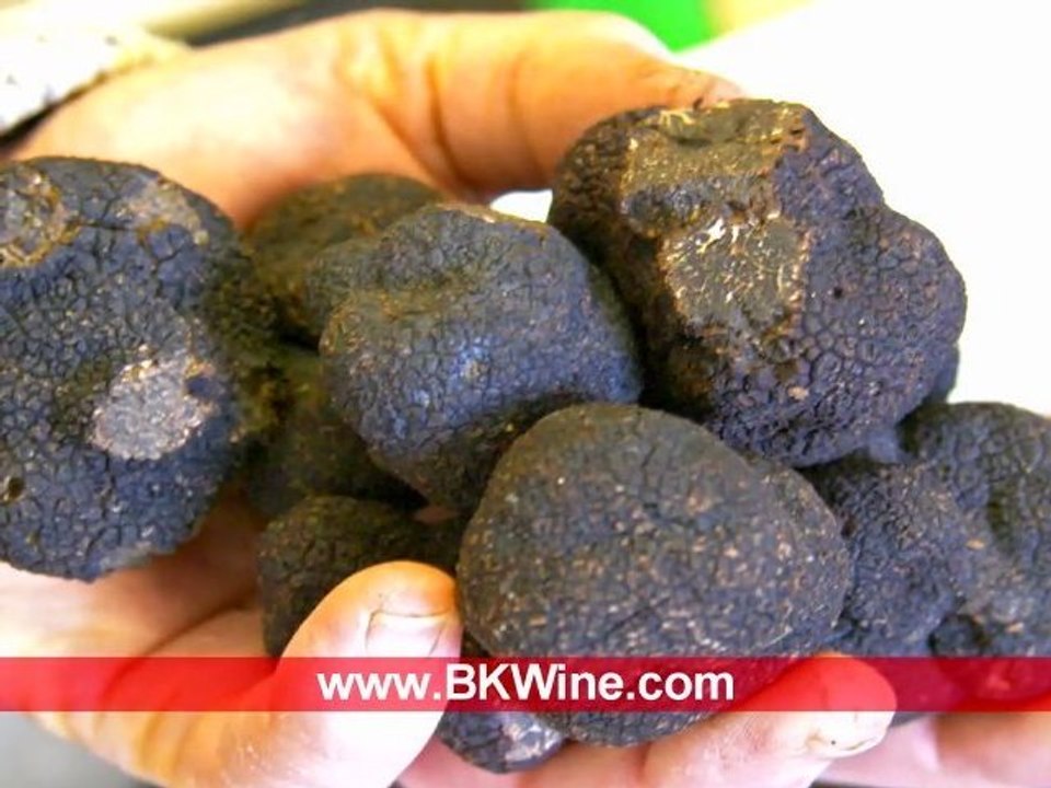 An introduction to truffles w Giorgio Colli