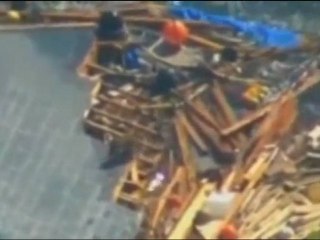 Tsunami dog rescued after 3 weeks alone at sea 01.04.2011