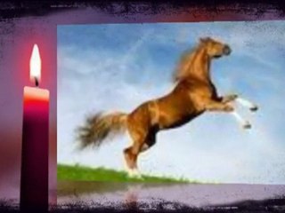 ***UNUTULAN ADAM***  En Sevgiliye  ***UNUTULAN ADAM***