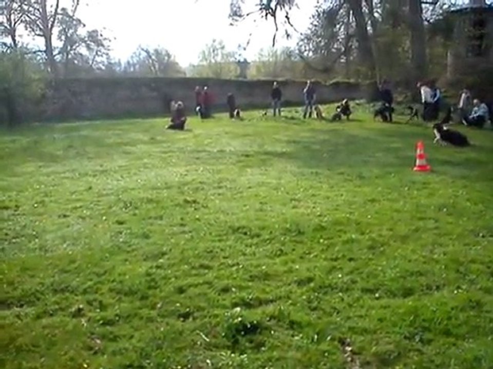 MOV00446
