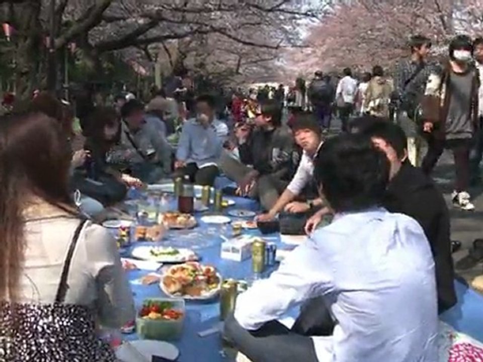 Tokyo : la fête des cerisiers endeuillée par le tsunami