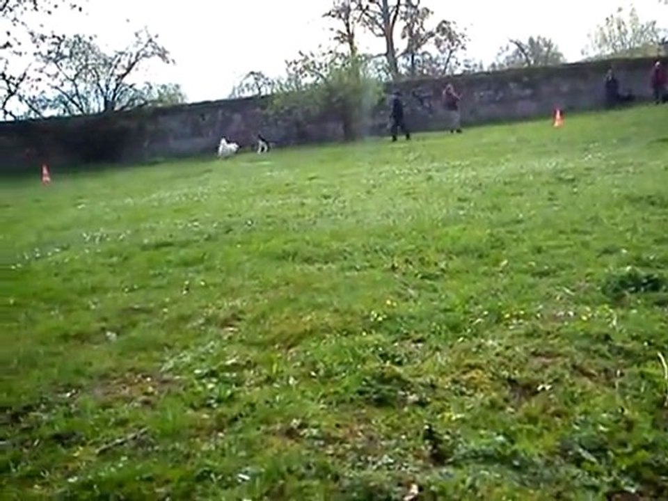 MOV00447