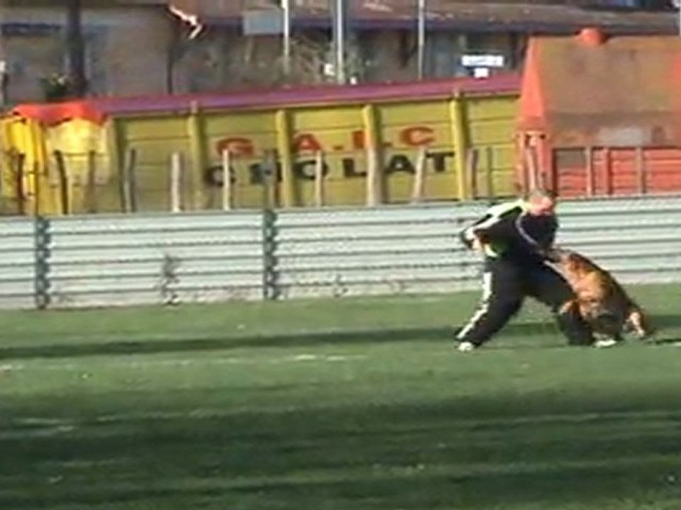 20110402090813