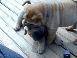 Gaïko......ou comment utiliser un portable!!!