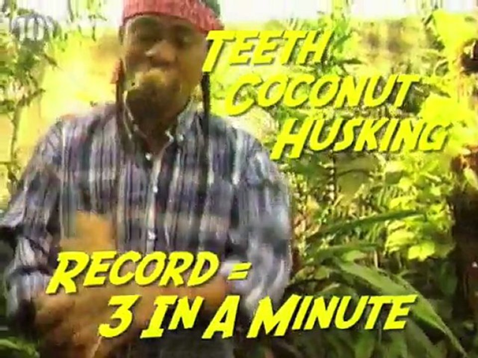 top 10 des records du mondes les plus fou
