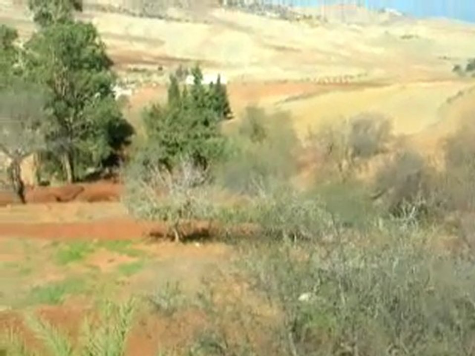 Talilite rif beni oulichek maroc nador rif