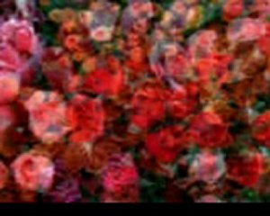 zeki müren DİLEK çeşmesi