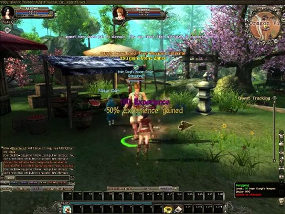 Video Test de Loong
