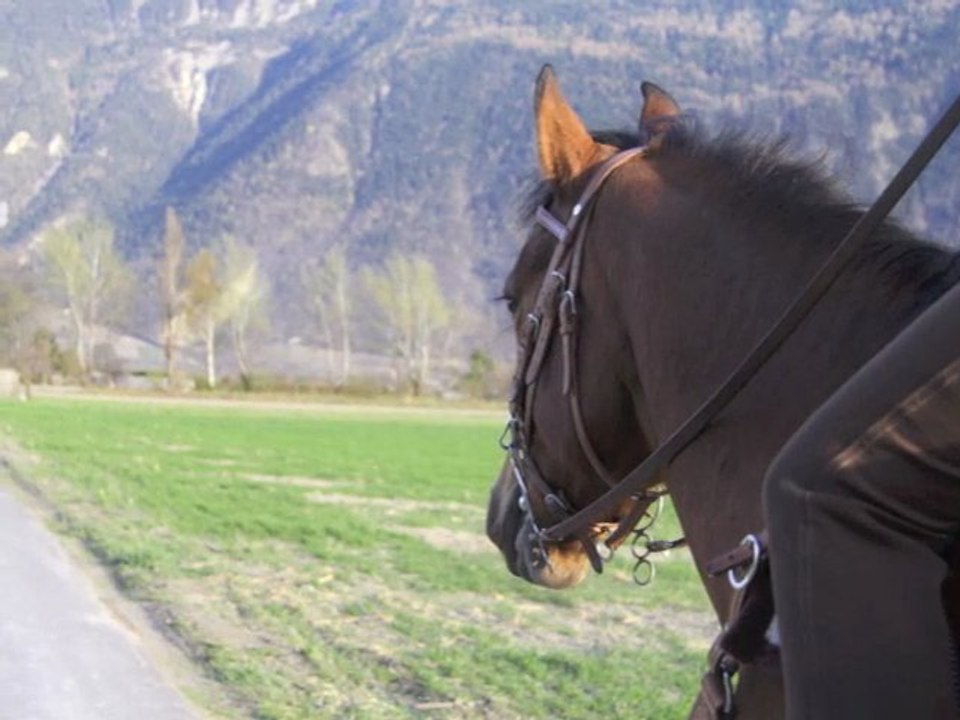 Séance photo par Malou
