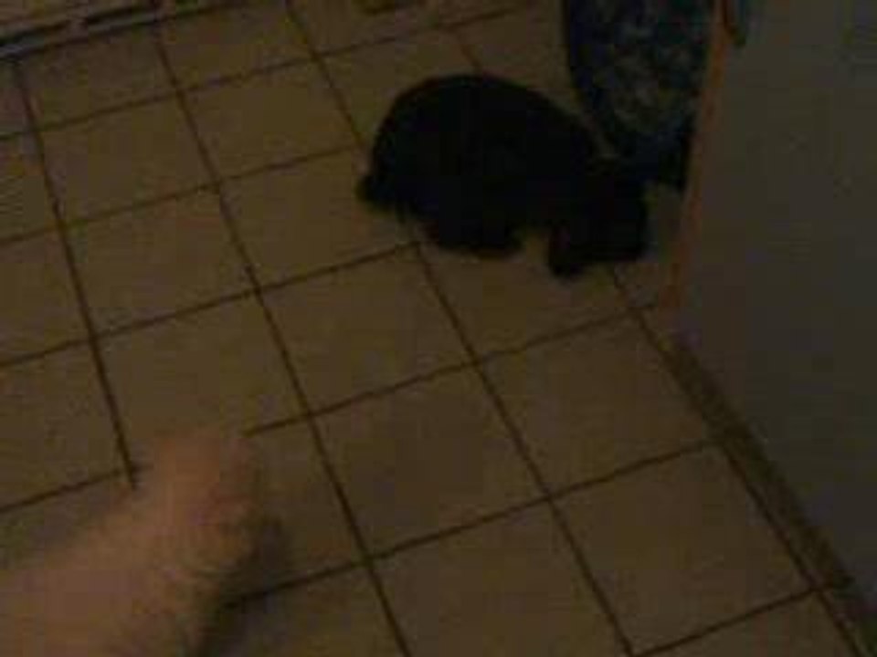 premier contact avec pinou