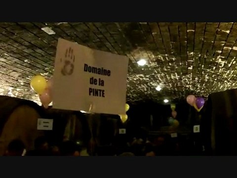 Le nez dans le vert, salon vin bio du jura