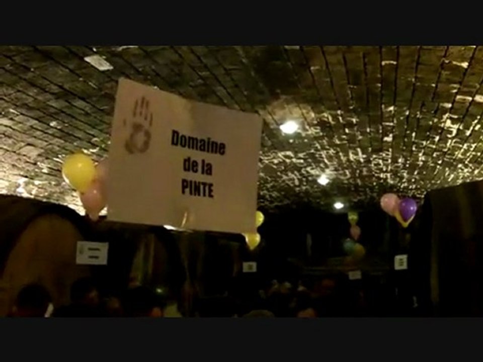 Le nez dans le vert, salon vin bio du jura