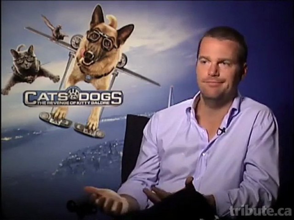 2010.07 Chris O'Donnell @ Cats & Dogs interview-Tribune