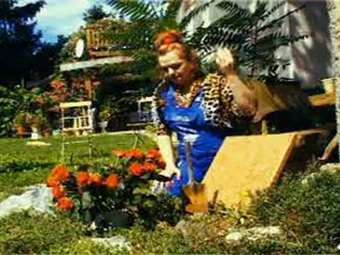 Sandy Lopicic Orkestar - Kupi Mi Majko Top