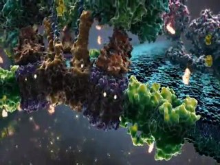 Powering the Cell_ Mitochondria