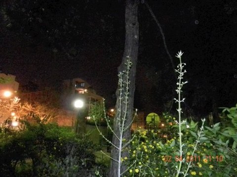 ORBS : TEMPETE D'ORBES ET DE PHENOMENES CONNEXES SUR PARIS