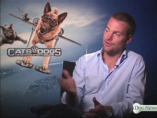 2010.07 Chris O'Donnell @ Cats & Dogs interview-Dog News Daily
