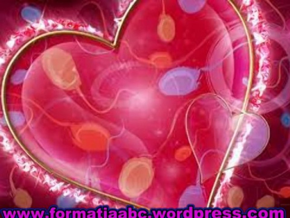 Formatie  de muzica Pitesti / Arges - Formatia *ABC* - Gara mica