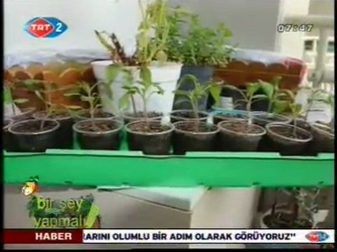 TRT 2 Bir Şey Yapmalı Programı - Tohum Saklama - etarim.net