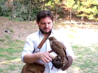 Cetrería busca espacio en El Salvador