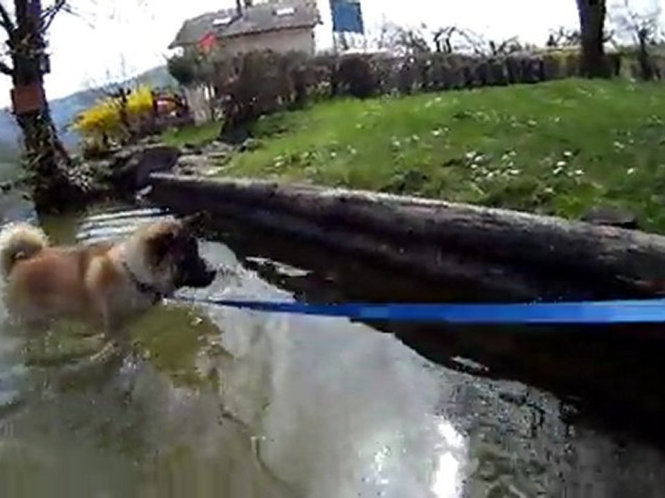 2011-04-03 - Lac d'Aiguebelette