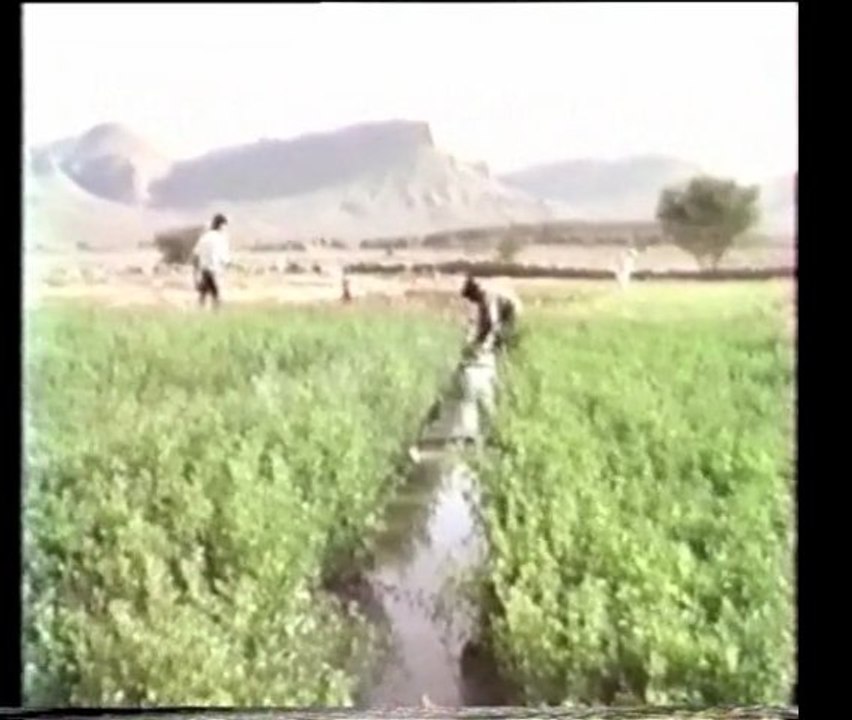 Maroc 1987 : "Berbères du grand sud marocain"  1/3