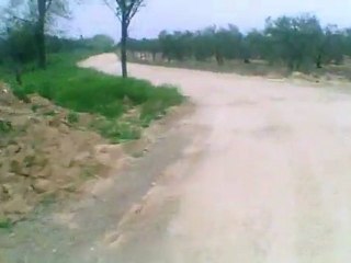 Bajada MTB de Mairena del Aljarafe al río Pudio