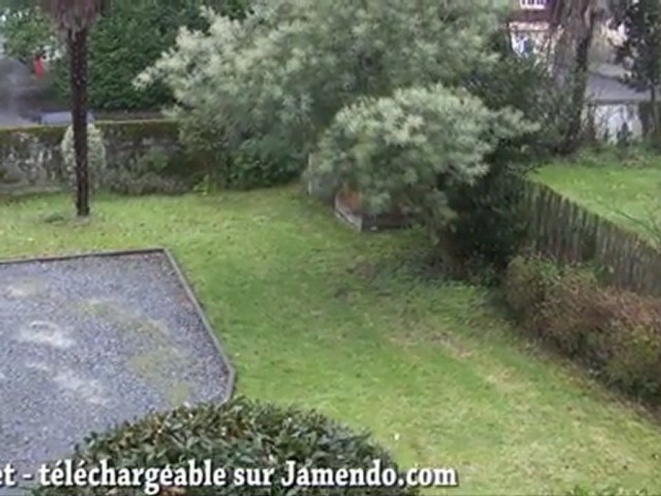 Pivert dans le rythme