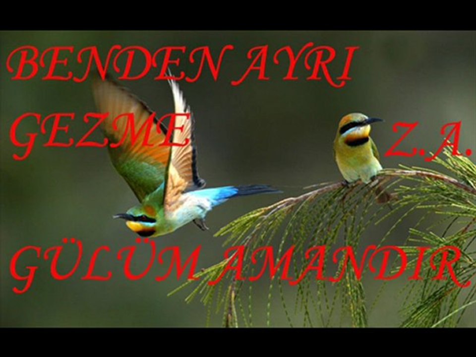 AĞLAMA SEVDAM- AĞLAMAZ SEVDALARA