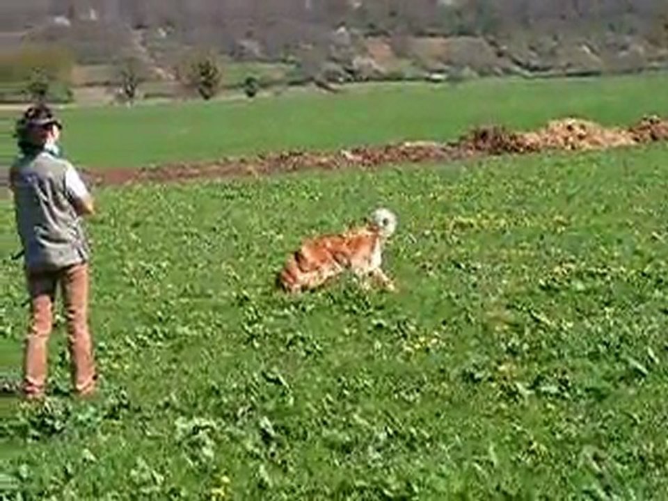 Amylton, piste en trait : l'arrivée