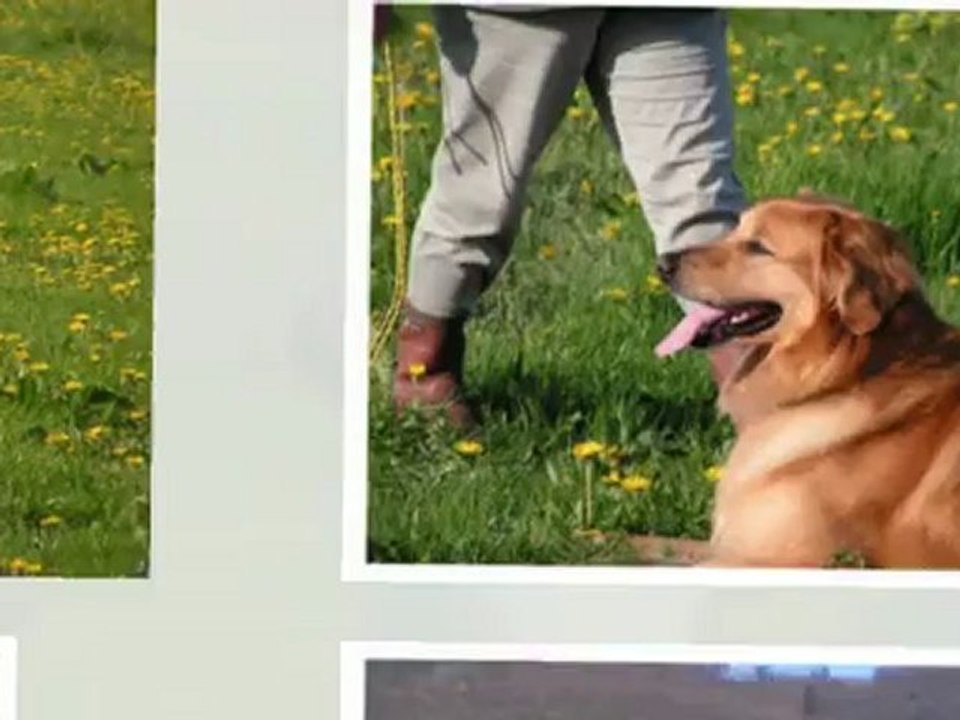 Amylton et Boubka en piste