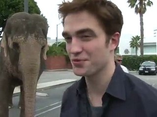 Nueva entrevista de Robert sobre WFE subtitulada!