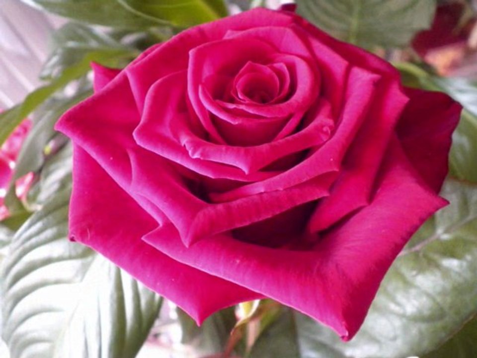 ALAIN BARRIERE DERNIER RENDEZ VOUS