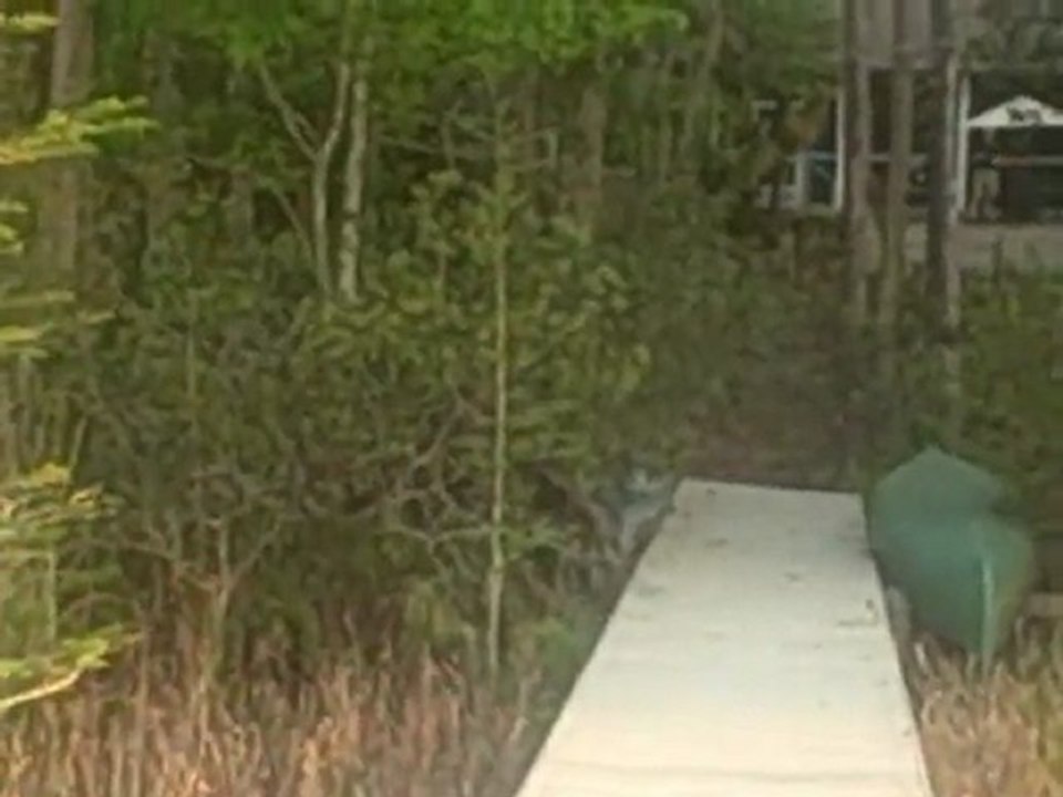 2011 OAA MELROSE FL A WALK ON THE DECK AT REED PEDLOW