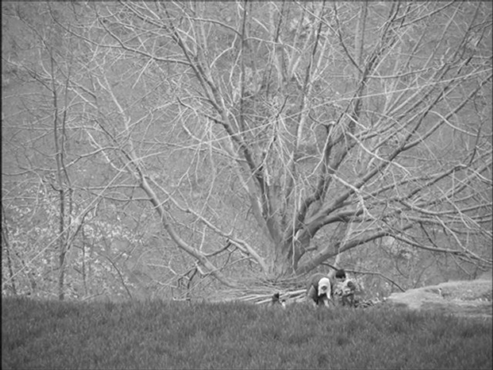 yok böyle bir ses, mükemmel ses, müthiş ses