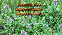 Abandon Homes - Abandon People