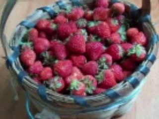 FATİH GÜRGÜN-ZONGULDAK