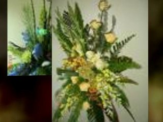 Mississauga Florist - Euro Flowers