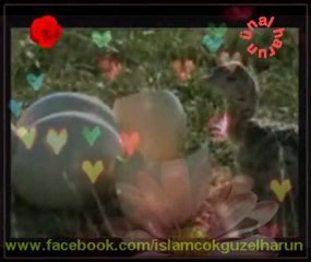 Kainatın Mayası Muhabbettir