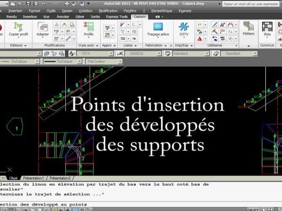 Limon central d'escalier en profil et support des marches