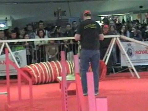 03 04 2011 Démo Agility CCSLiège (a.m) - Salon Animalia